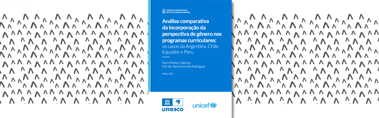 Análise comparativa da incorporação da perspectiva de gênero nos programas curriculares os casos da Argentina, Chile, Equador e Peru