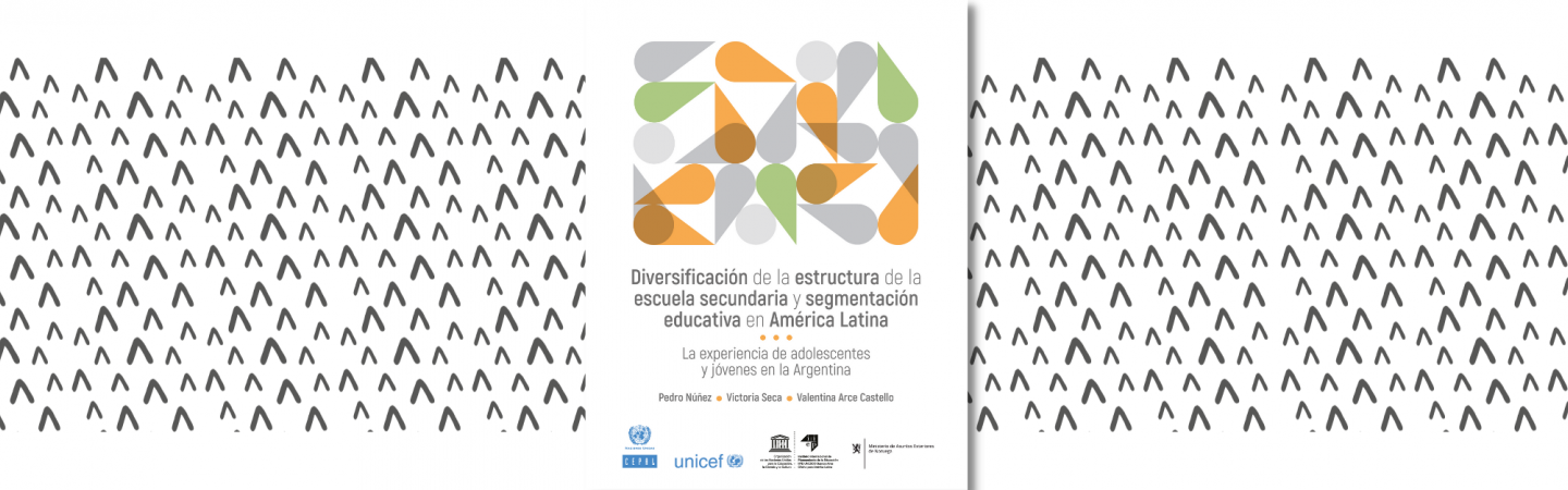 Diversificación de la estructura de la escuela secundaria y segmentación educativa en América Latina: la experiencia de adolescentes y jóvenes en la Argentina